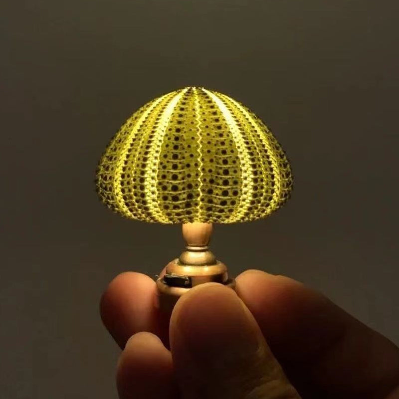 DIY Seeigel-Nachtlicht