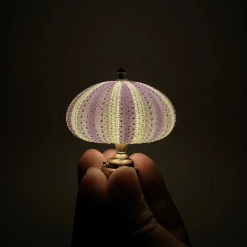 DIY Seeigel-Nachtlicht