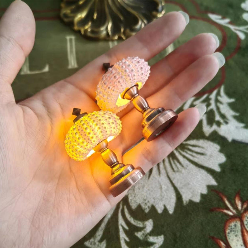 DIY Seeigel-Nachtlicht