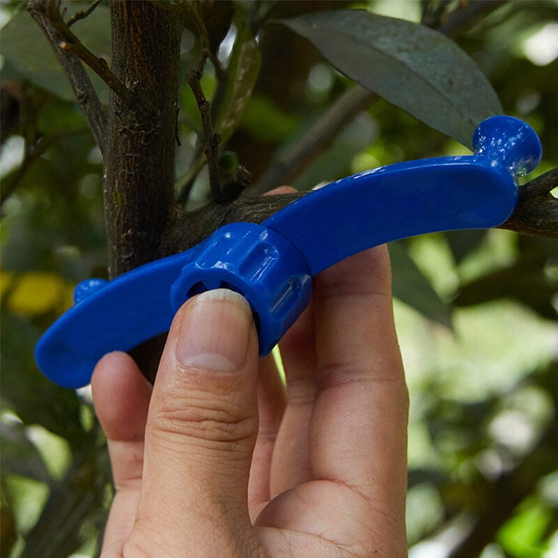 Fixateur für Zweigmodellierung