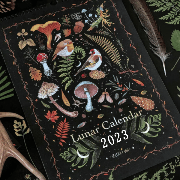 Dunkelwald-Mondkalender 2023
