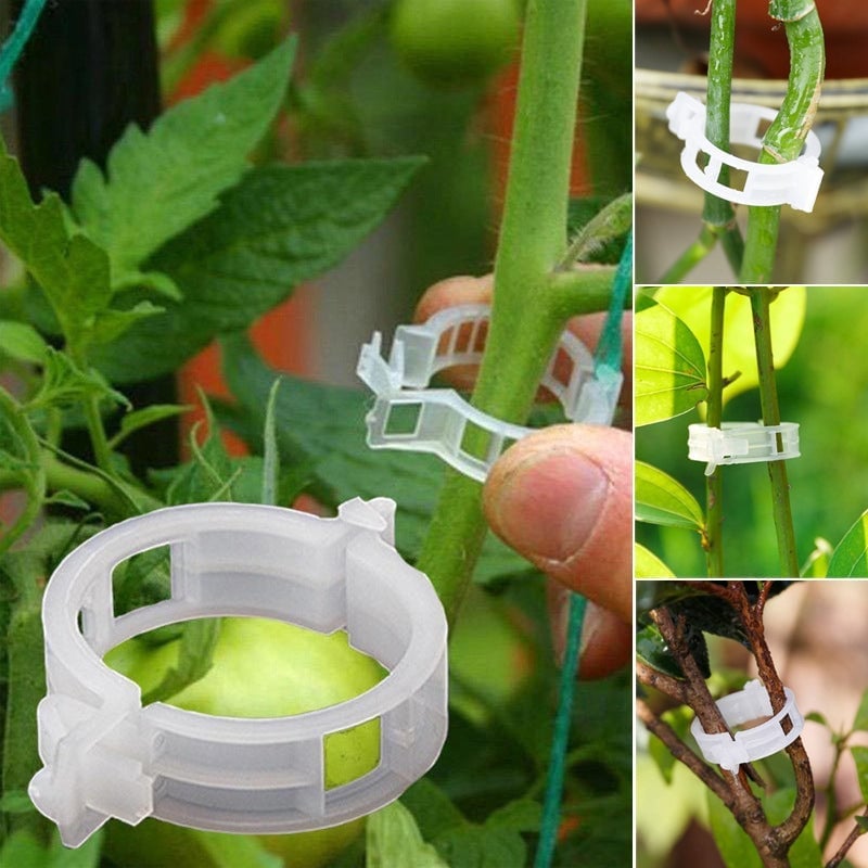 Pflanzstützen-Clips