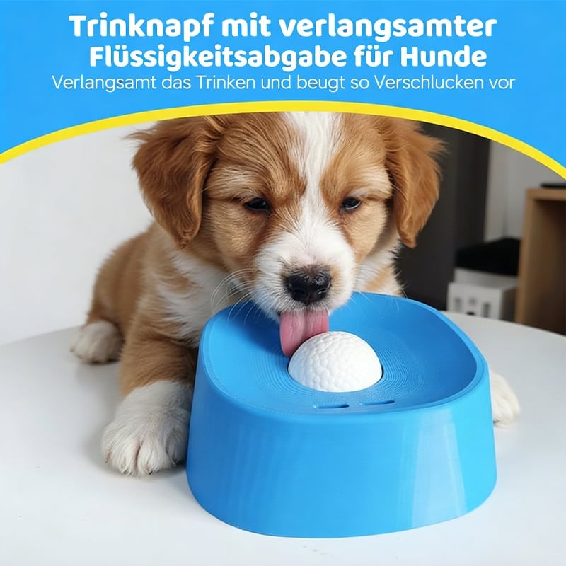Futter- und Trinknapf mit langsamer Fütterung