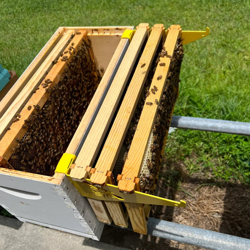 Praktische Bienenstock-Inspektionshalterung