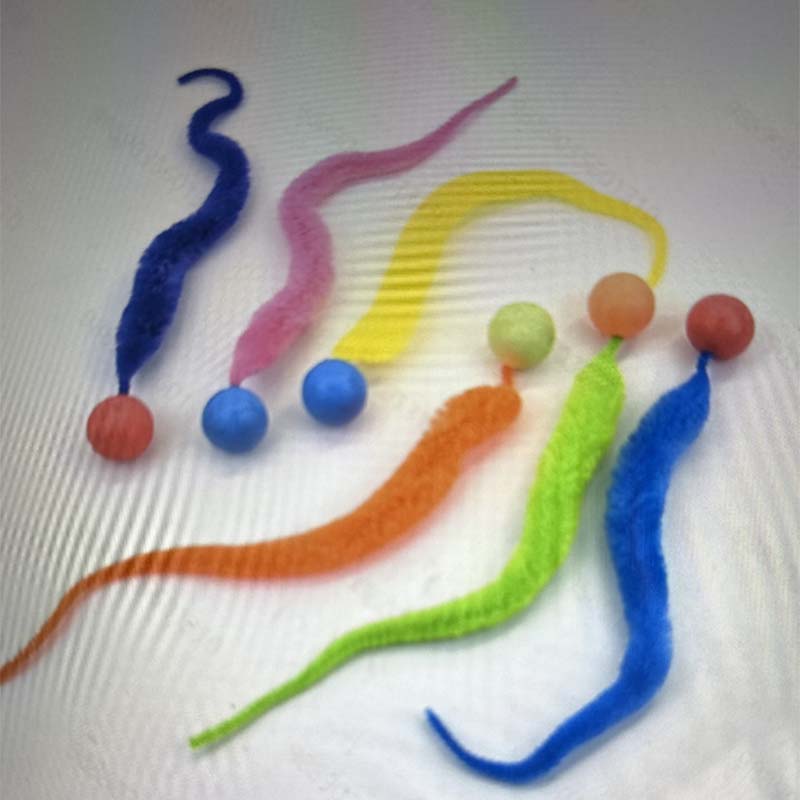 Raupenspielzeug, Seepferdchenspielzeug