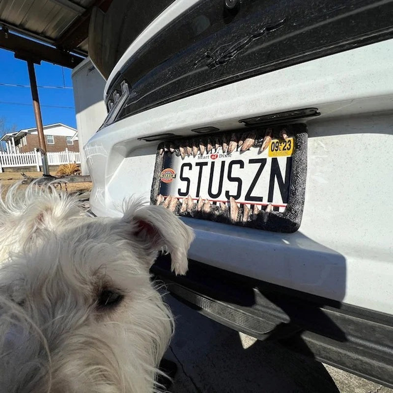 Lustige Nummernschilddekorationen