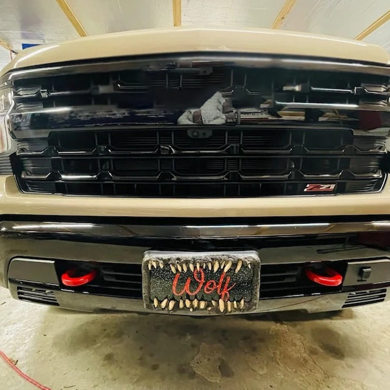 Lustige Nummernschilddekorationen