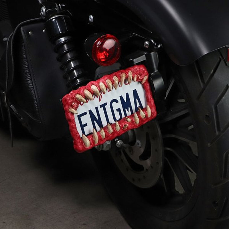 Lustige Nummernschilddekorationen