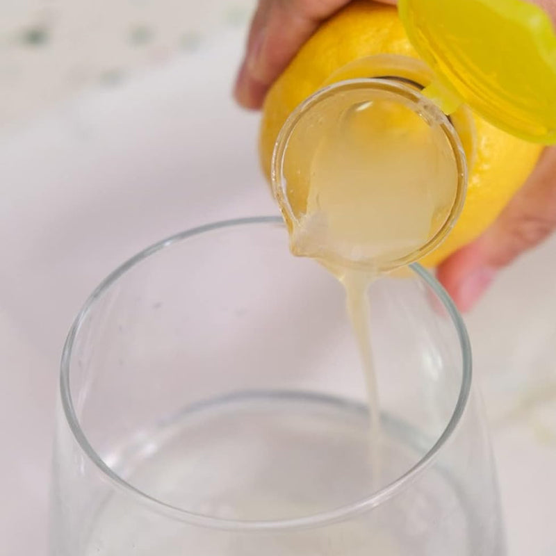 Kompakter Entsafter mit Deckel