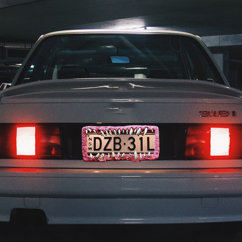 Lustige Nummernschilddekorationen