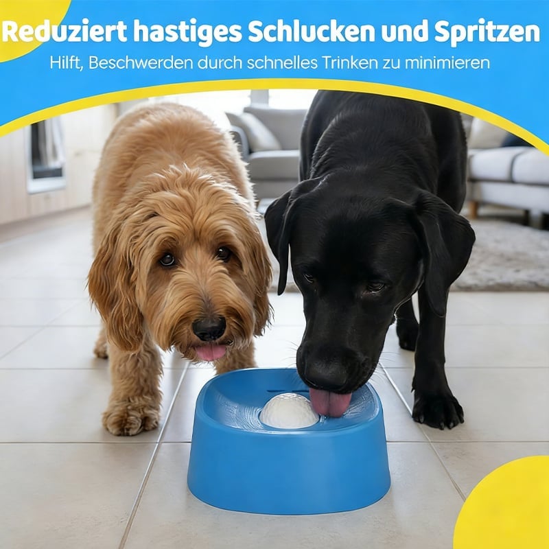 Futter- und Trinknapf mit langsamer Fütterung
