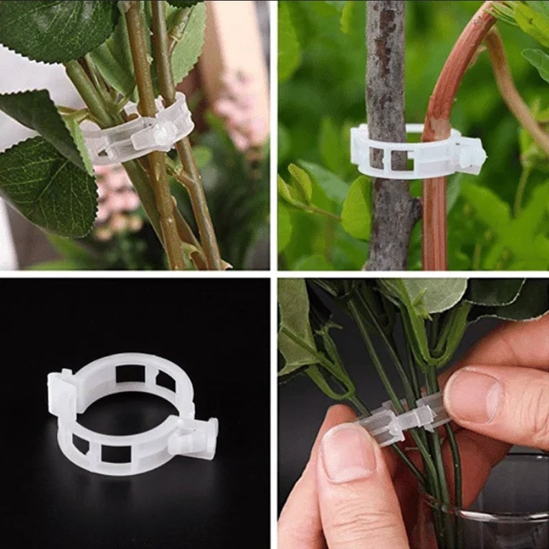 Pflanzstützen-Clips