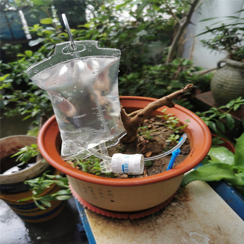 Pflanzentropfbeutel - Pflanzentropfbewässerung