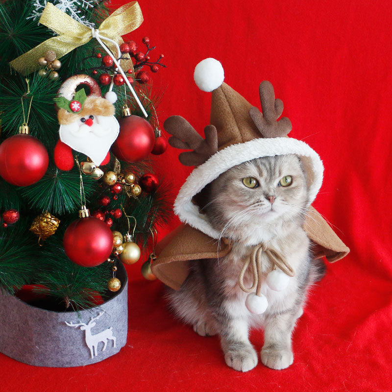 Katze Hund Weihnachten Cape Poncho